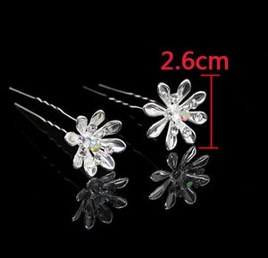#22 U-Shaped Hair Pins (A)